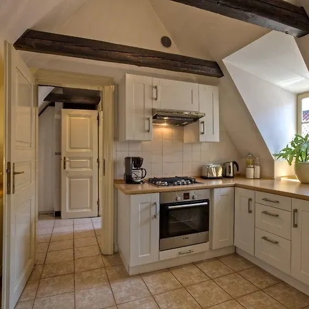 Apartment U Kapra Prag